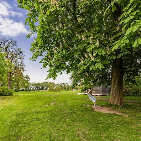 Light Flooded With Sauna Walow