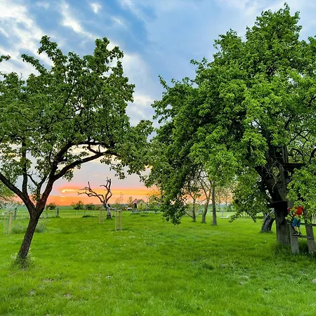 Light Flooded With Sauna 度假居 Walow