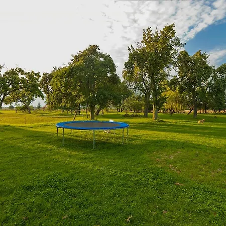 度假居 Light Flooded With Sauna