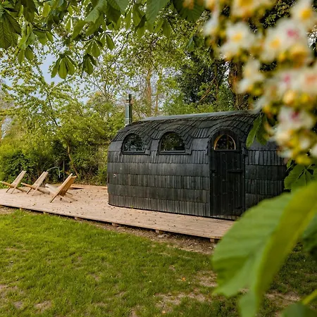 Light Flooded With Sauna * Walow