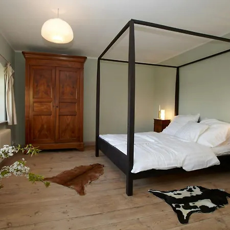 Light Flooded With Sauna *